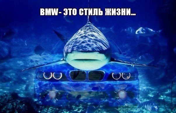 ��� | BMW - 29 ������ 2016 � 23:46