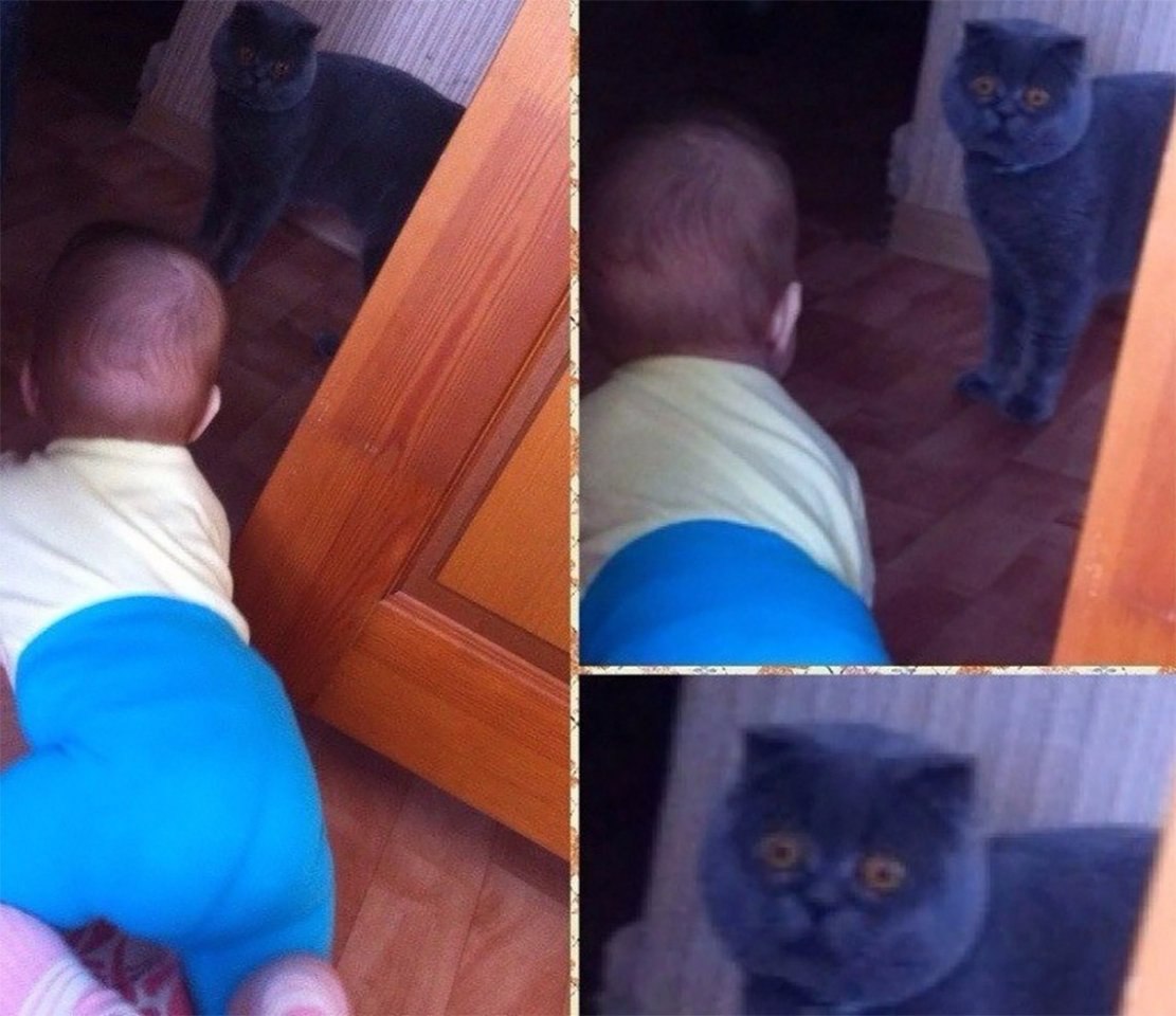     ,   ,   .    ...