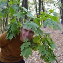 ���� ����, ����, 30 ��� - ��������� 2 ������� 2016