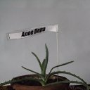 ���� ���������, �����-���������, 64 ���� - ��������� 29 �������� 2016 � ������ ���� �������� ����� !�