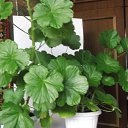 ���� ���������, �����-���������, 64 ���� - ��������� 29 �������� 2016 � ������ ���� �������� ����� !�