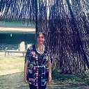  , -, 66  -  28  2016    