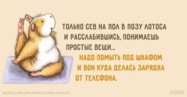  - 19  2016  11:04