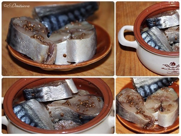 Рецепт засолки пряной скумбрии.Мороженную скумбрию сначала нужно разморозить, но не до конца, так ...