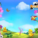 ���� �����, ������������, 65 ��� - ��������� 5 ����� 2017 � ������ �������� �������-�������