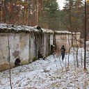 ���� ������, �����-���������, 46 ��� - ��������� 14 ������ 2017 � ������ ������ ��� �� ��)�