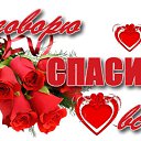 ���� �����, �����-��������� - ��������� 8 ����� 2017 � ������ ���� ����������