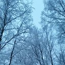 ���� Vladimir, �����-���������, 72 ���� - ��������� 26 ����� 2017 � ������ ���� ����������