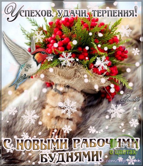 ��� � ������ - 3 ������� 2016 � 14:13
