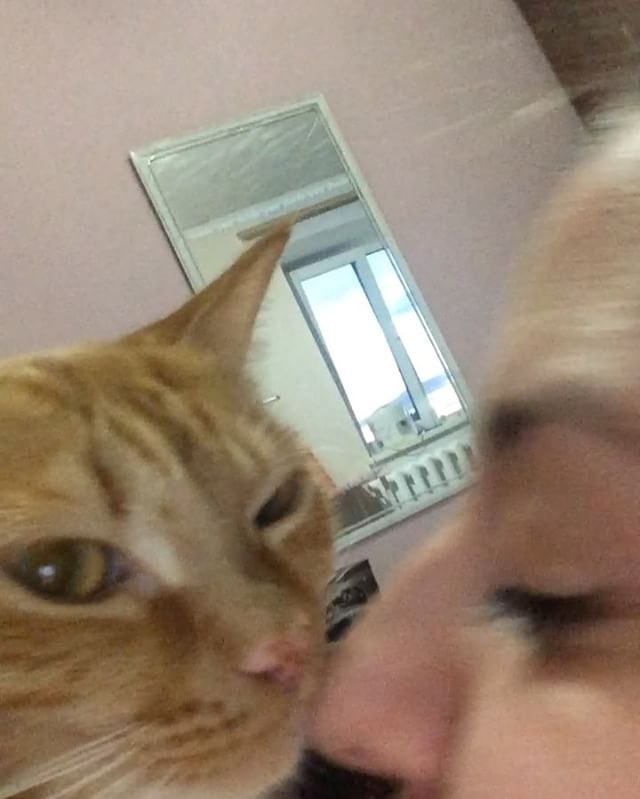  # # #