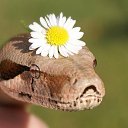 ���� ������, ������� - ��������� 29 ������� 2016 � ������ ���� ����������