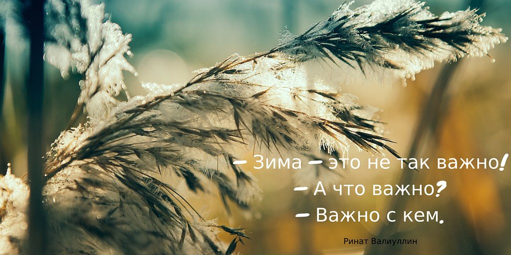   - 17  2016  16:50
