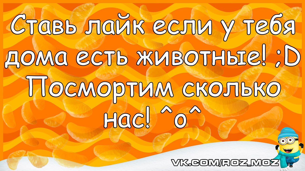  - 19  2017  18:55