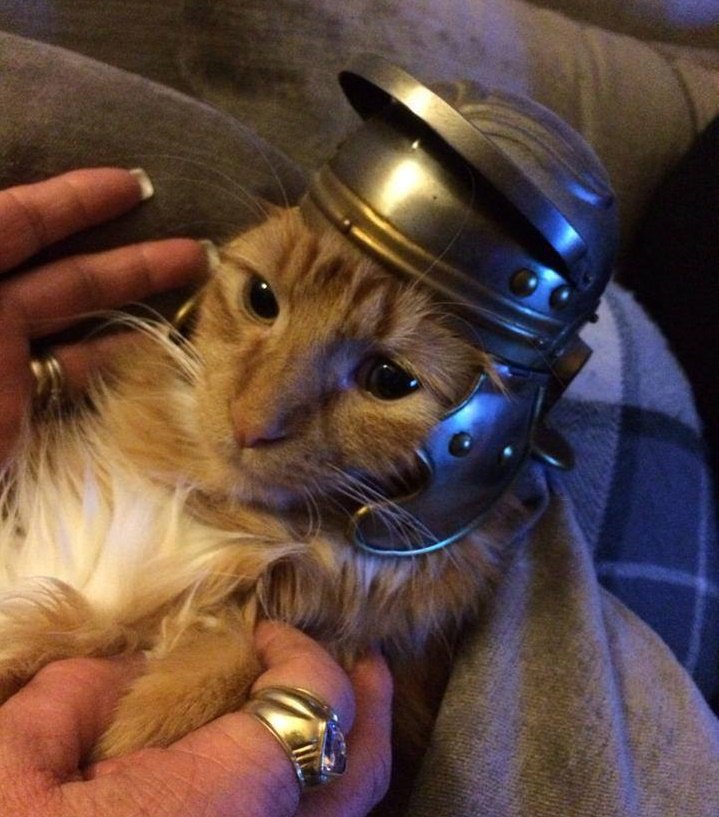     ,        