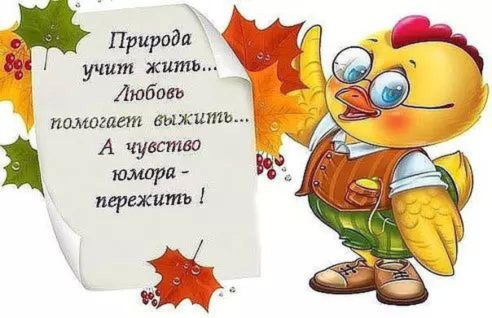  - 2  2017  09:11