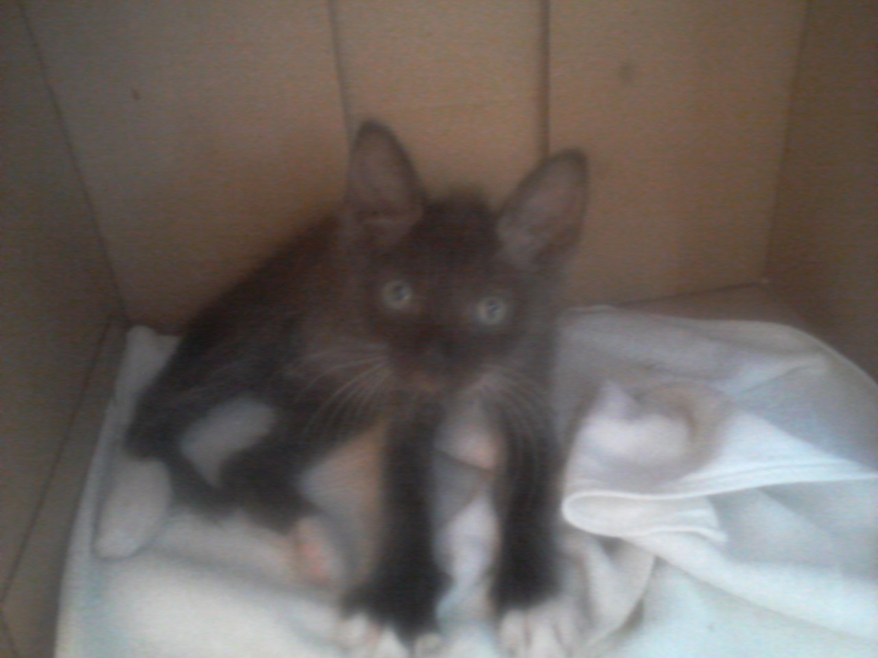 #_.     , , ,   ,   ...