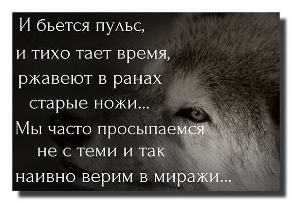 Время тает. И бьётся пульс и тихо тает время. Пульс бьется. Мы часто просыпаемся не с теми и так.