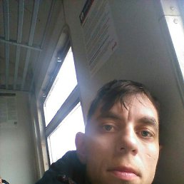 ����, �����-���������, 41 ���