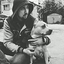 ���� ���, ������, 43 ���� - ��������� 29 ������ 2017 � ������ ���� ����������