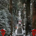 ���� ������ ������, ���������, 67 ��� - ��������� 22 ������� 2016 � ������ ������ ��������