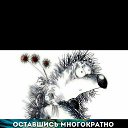 ���� �����, �����, 54 ���� - ��������� 31 ����� 2017 � ������ ���� ����������