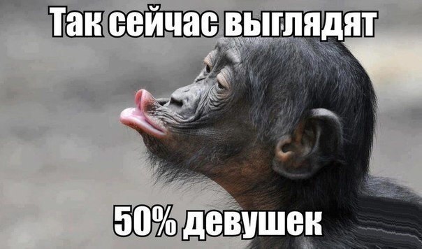    :-) - 29  2016  15:08