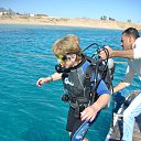 ���� ������, ���������� �����, 61 ��� - ��������� 12 ������� 2017 � ������ ���� ���� ߻