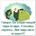 ���� The Only, ��������� - ��������� 26 ������� 2016 � ������ ���� ����������