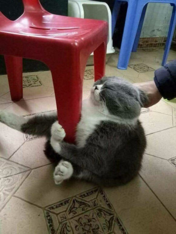    ,   ... - 3