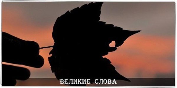 Влюбиться в душу, не касаясь тела – талант.