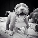 ���� ������, ������, 59 ��� - ��������� 9 ������ 2016 � ������ ���� ����������