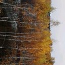 ������ ����� �� ������� ���� ����� ����� ������߻