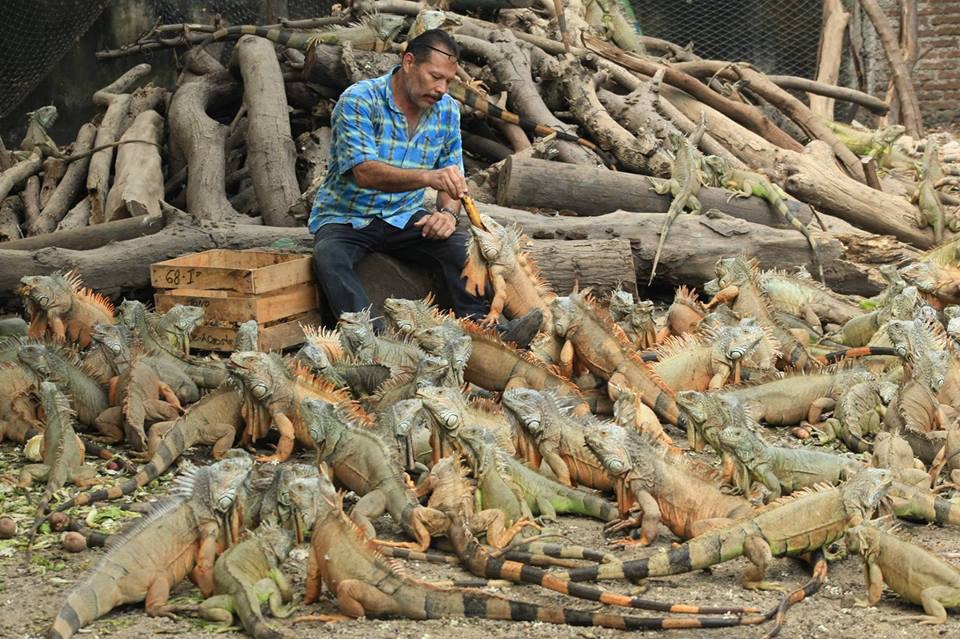 � ������� ���� ���������, ���� ������.