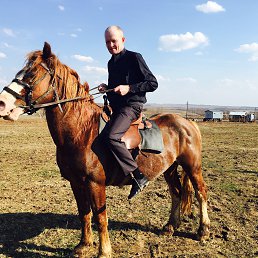 ������, ���, 64 ����