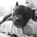  Vladimir,  -  19  2016    