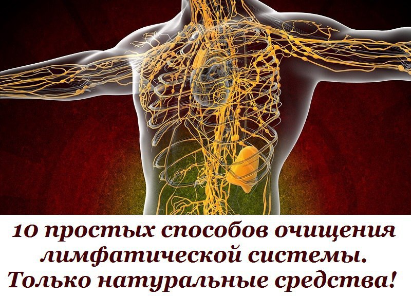 10 простых способов очищения лимфатической системы. Только ...