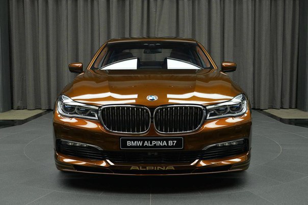 Chestnut Bronze Alpina B7 Bi-Turbo - 3