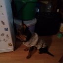 ������� ���� �������� ������ �� ������� ��