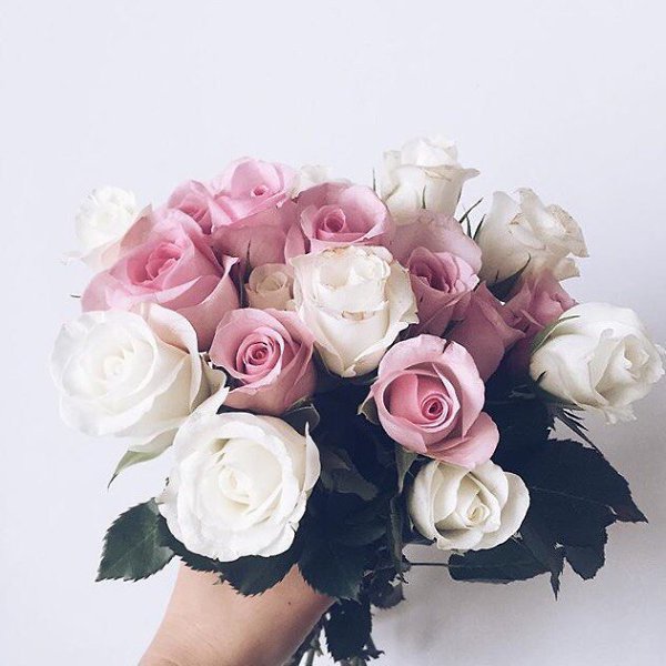 ����� ������� - 31 ������ 2017 � 01:07 - 5