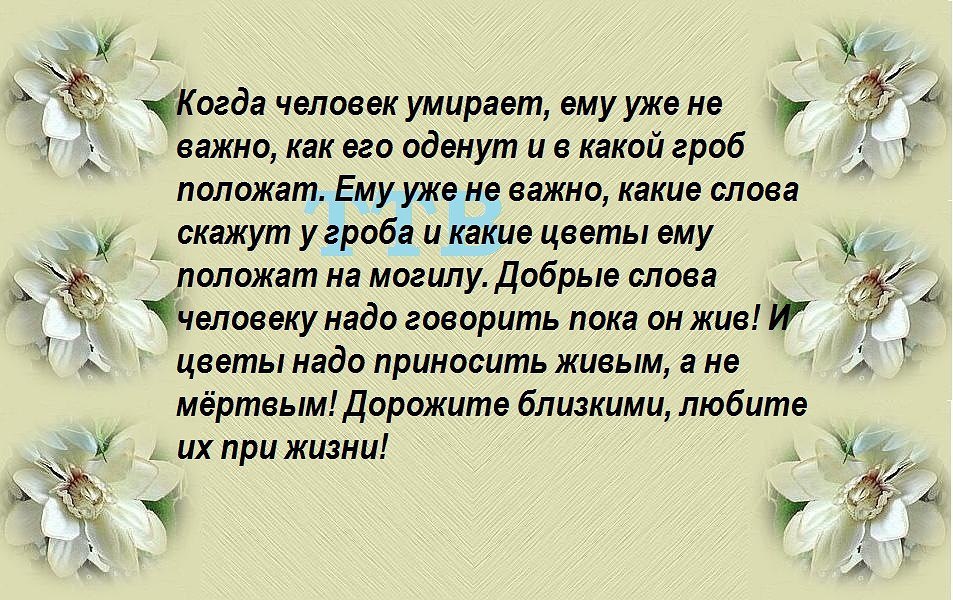 Мне крылья дергали а я летала. Говорите близким теплые слова. Стихи даже если рухнет мир начну сначала. Говорите добрые слова. Человек говорит добрые слова.