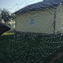 ���� �������, �������-����������, 49 ��� - ��������� 19 �������� 2016 � ������ ���� ����������