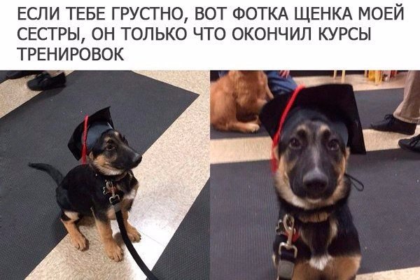   - 10  2016  00:46