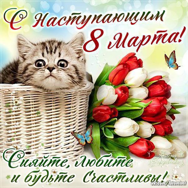   - 7  2017  21:51