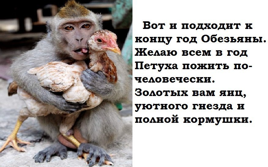    ,  ...  ..   , ...