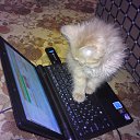 ���� Alex, ����������, 54 ���� - ��������� 10 ������� 2016 � ������ ���� ����������