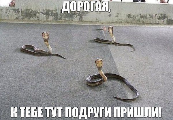    :-) - 7  2016  23:07