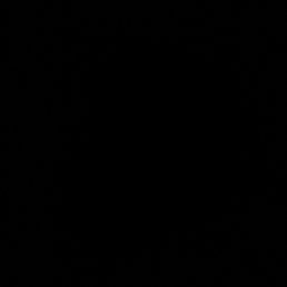 ˸�� �����, ����, 44 ����