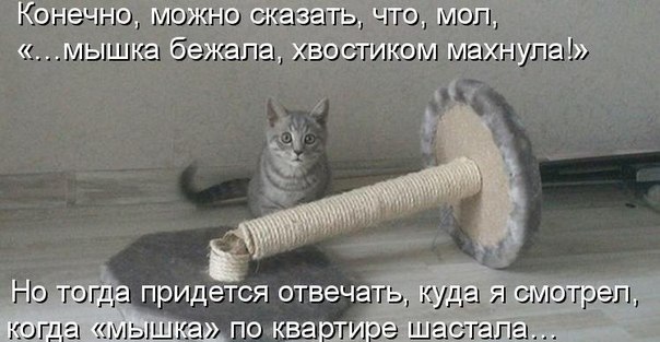   - 14  2016  06:18