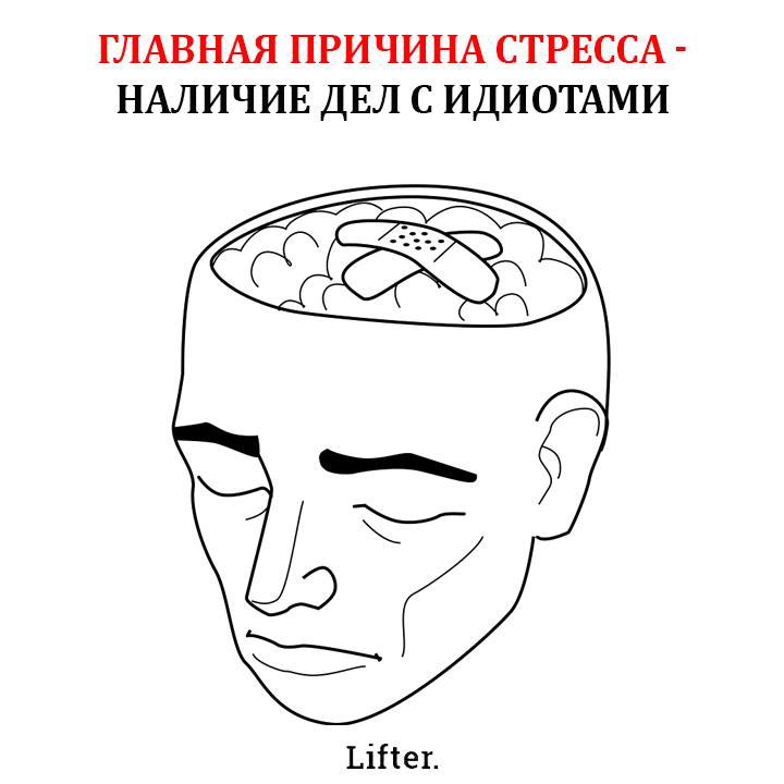   - 15  2017  15:55