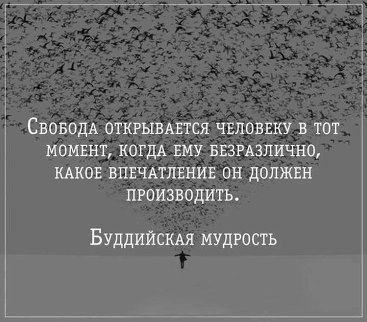 LIFE -  - 3  2016  06:28